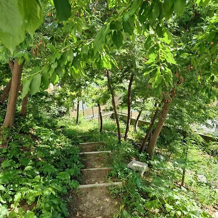 Garden & View